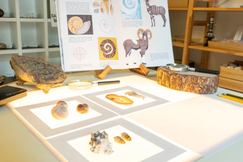 Atelier scienza, arte e natura